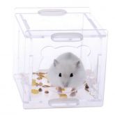Cubo Transparente para Hamster